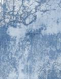 KT-PD5932-R01_Blue gypsum wall